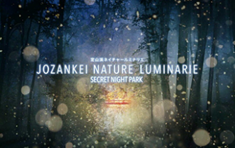 nature_luminarie