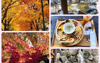 autumn_collage