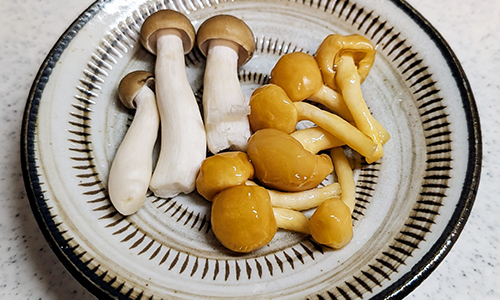 kinoko