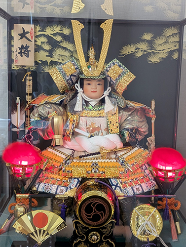 maydoll