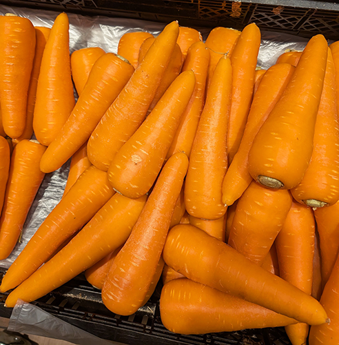 carrot