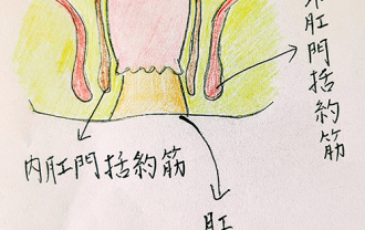 anus
