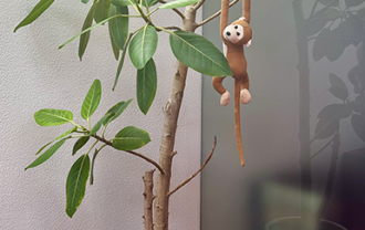 houseplants