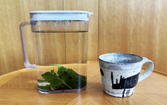 lemonbalm