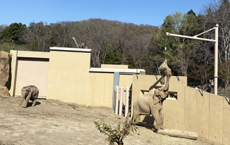 zoo