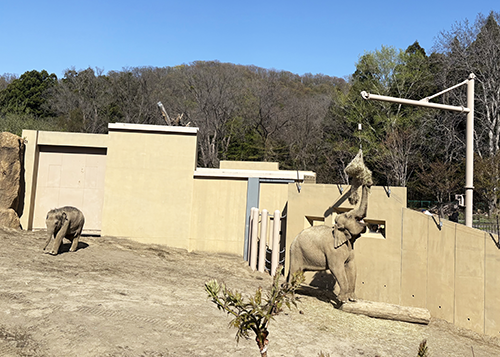 zoo