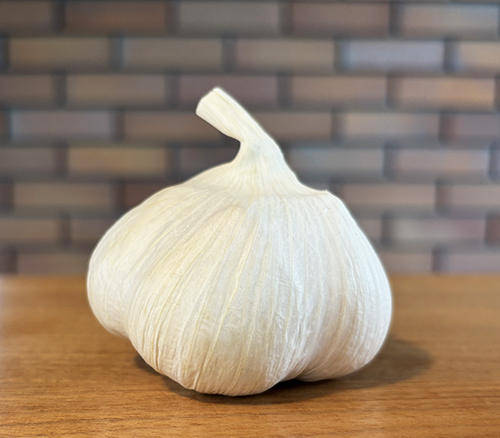 garlic