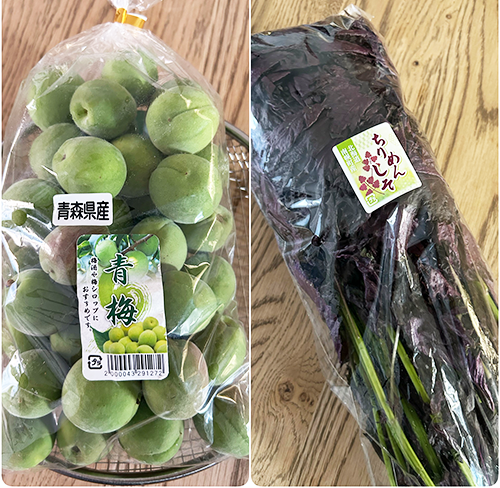ume