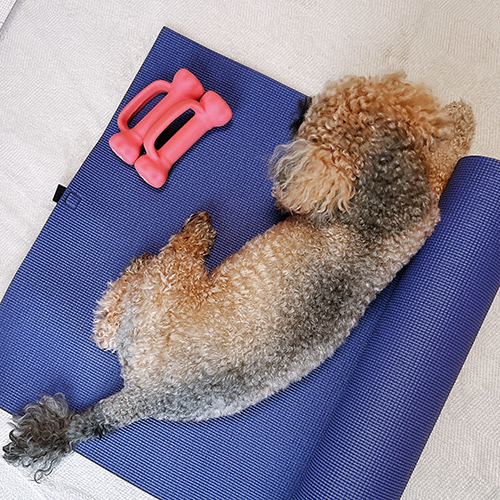 exercise