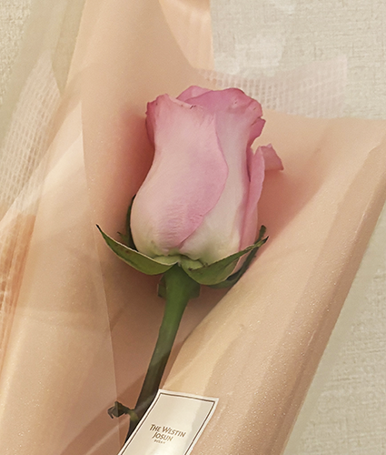 rose