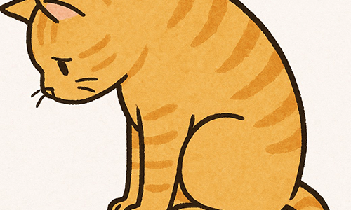 cat