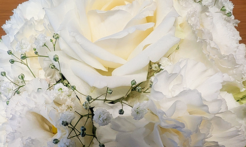 whiteflower