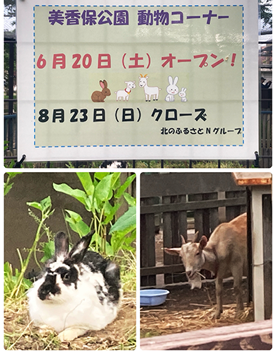 mikahoanimal2026