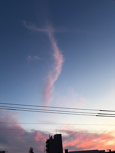 pinkcloud
